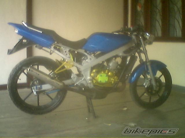 Photo 1106042