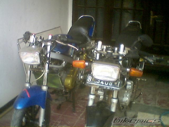 Photo 1106049
