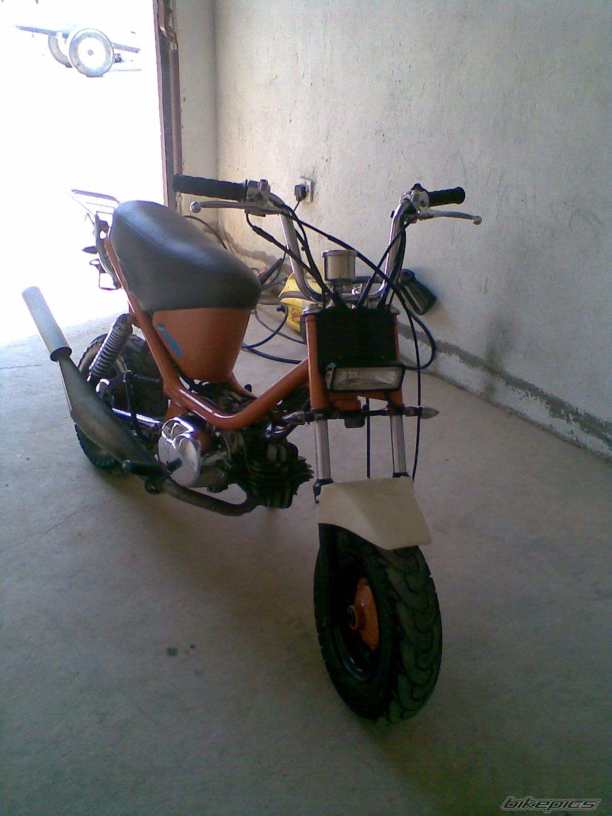 Photo 1106065