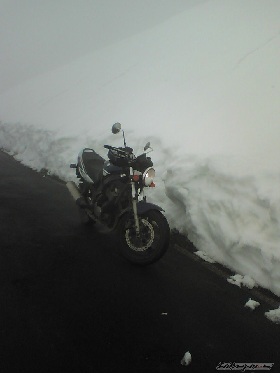 Photo 1106077