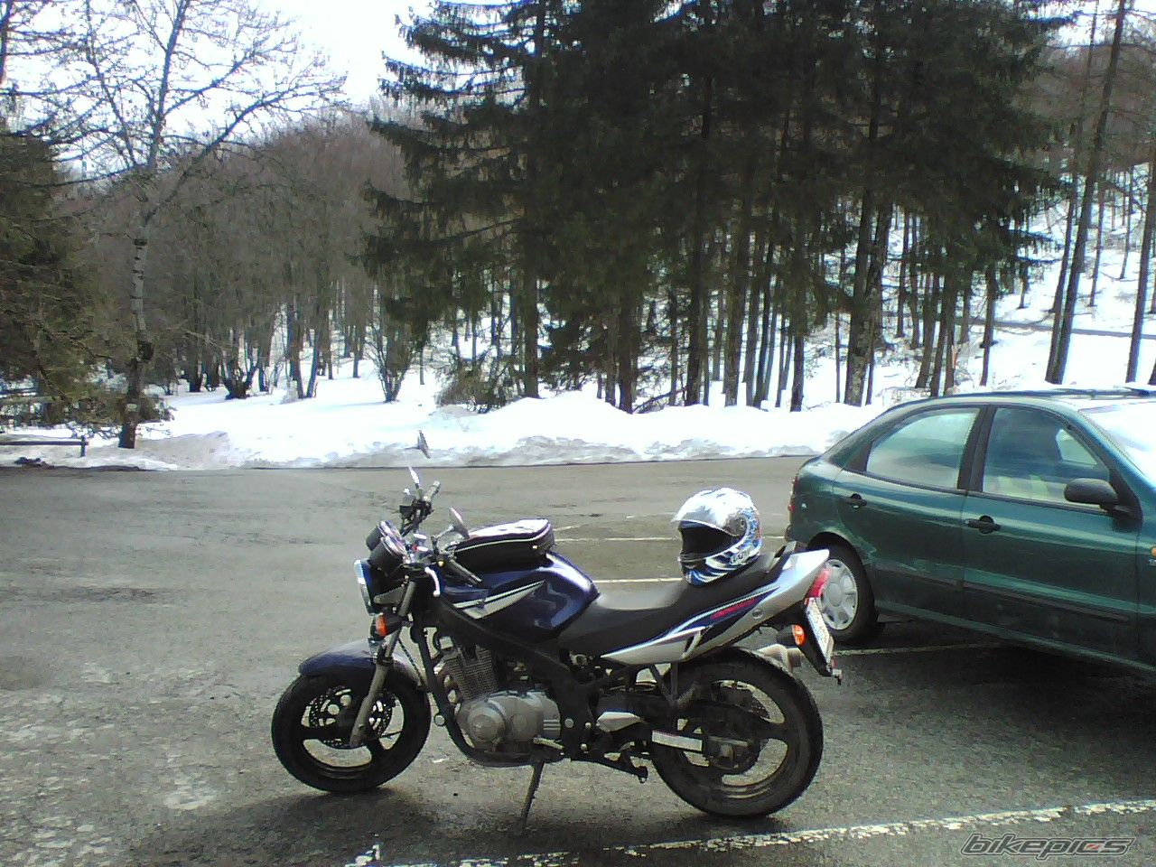 Photo 1106083