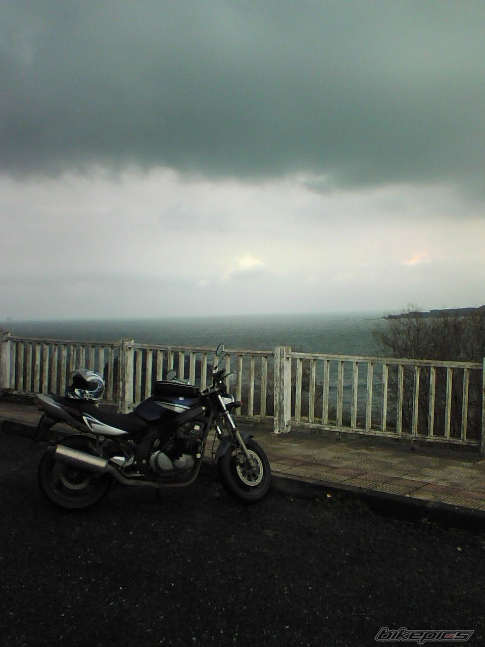 Photo 1106086