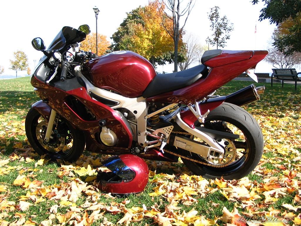 Photo 1106087