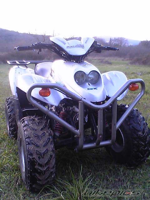 Photo 1106109