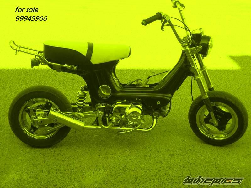 Photo 1106216