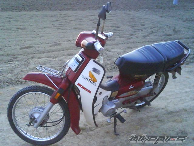 Photo 1106281