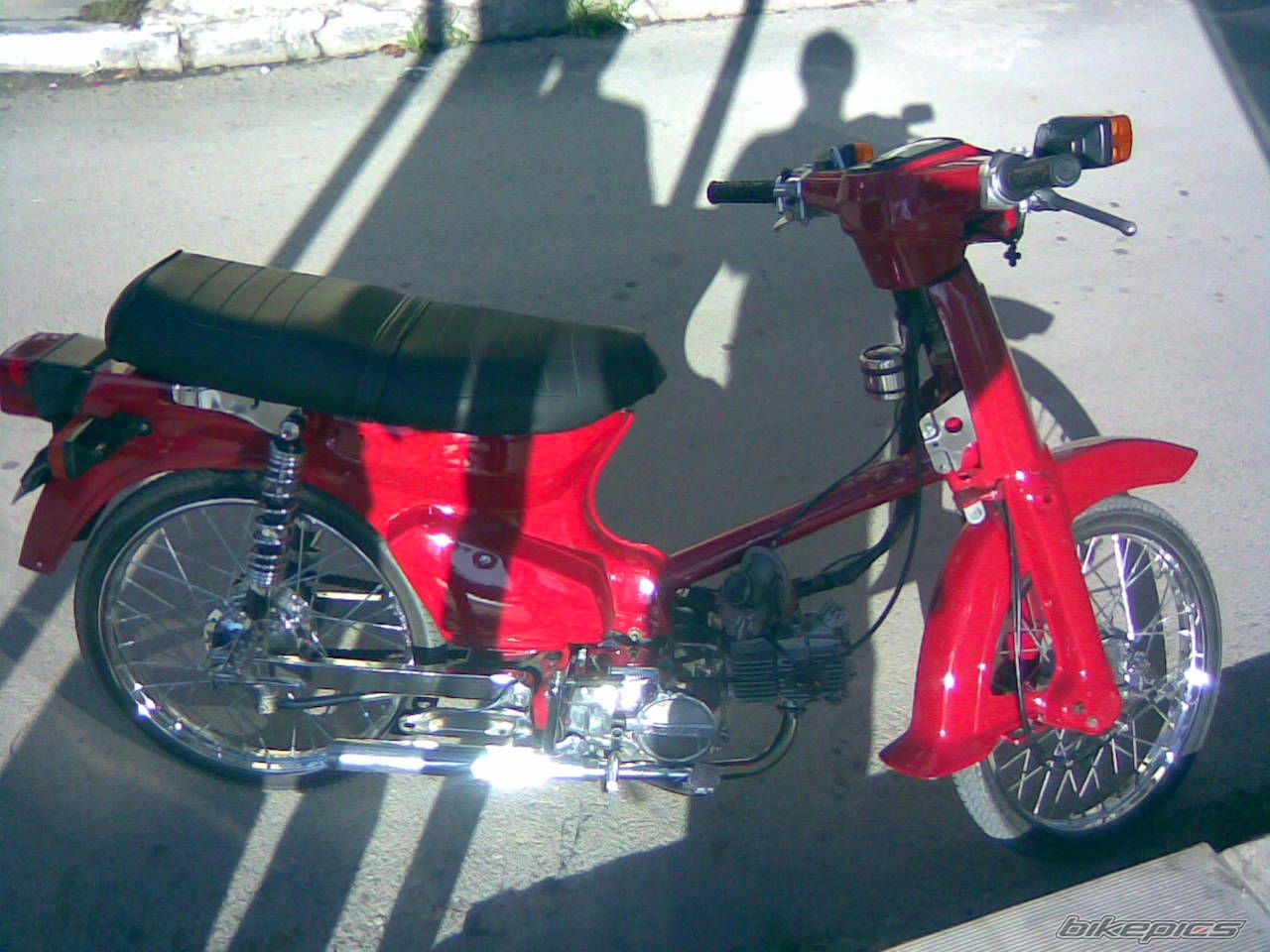 Photo 1106308