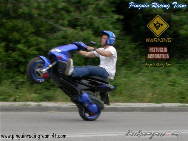 Photo 110631