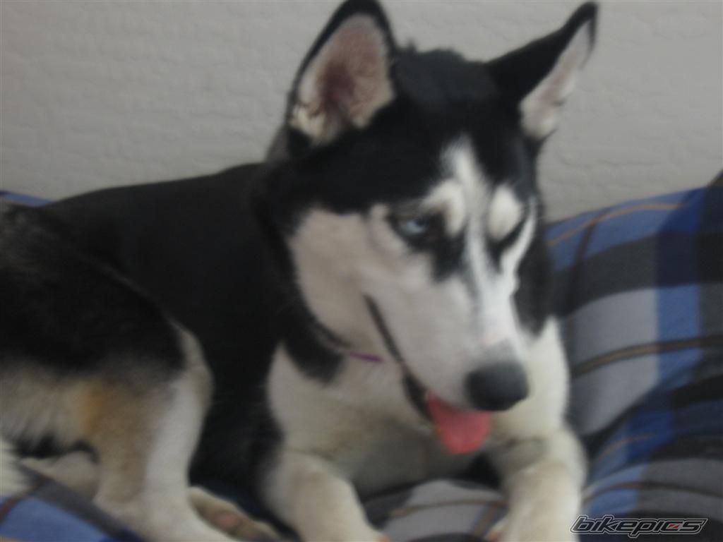 Photo 1106341