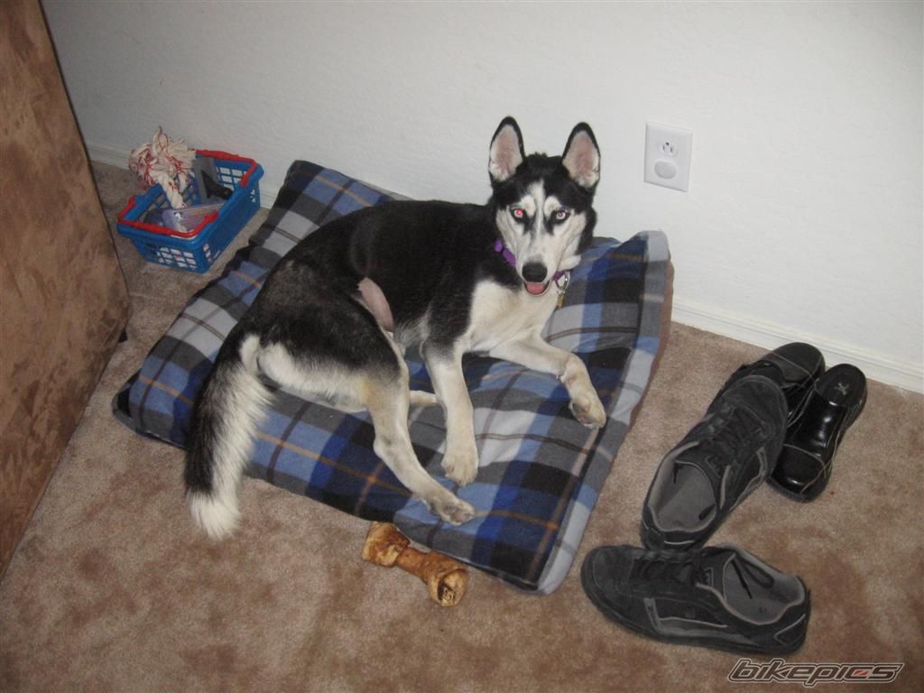 Photo 1106342