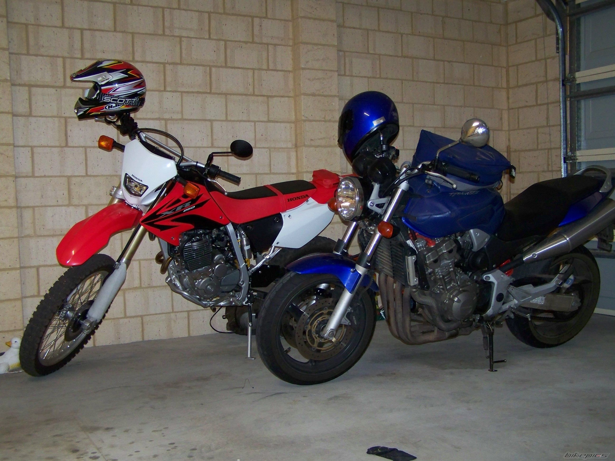 Photo 1106350