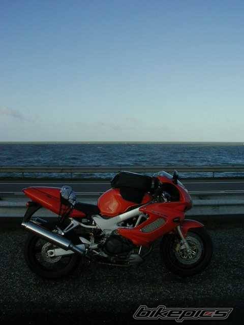 Photo 11064