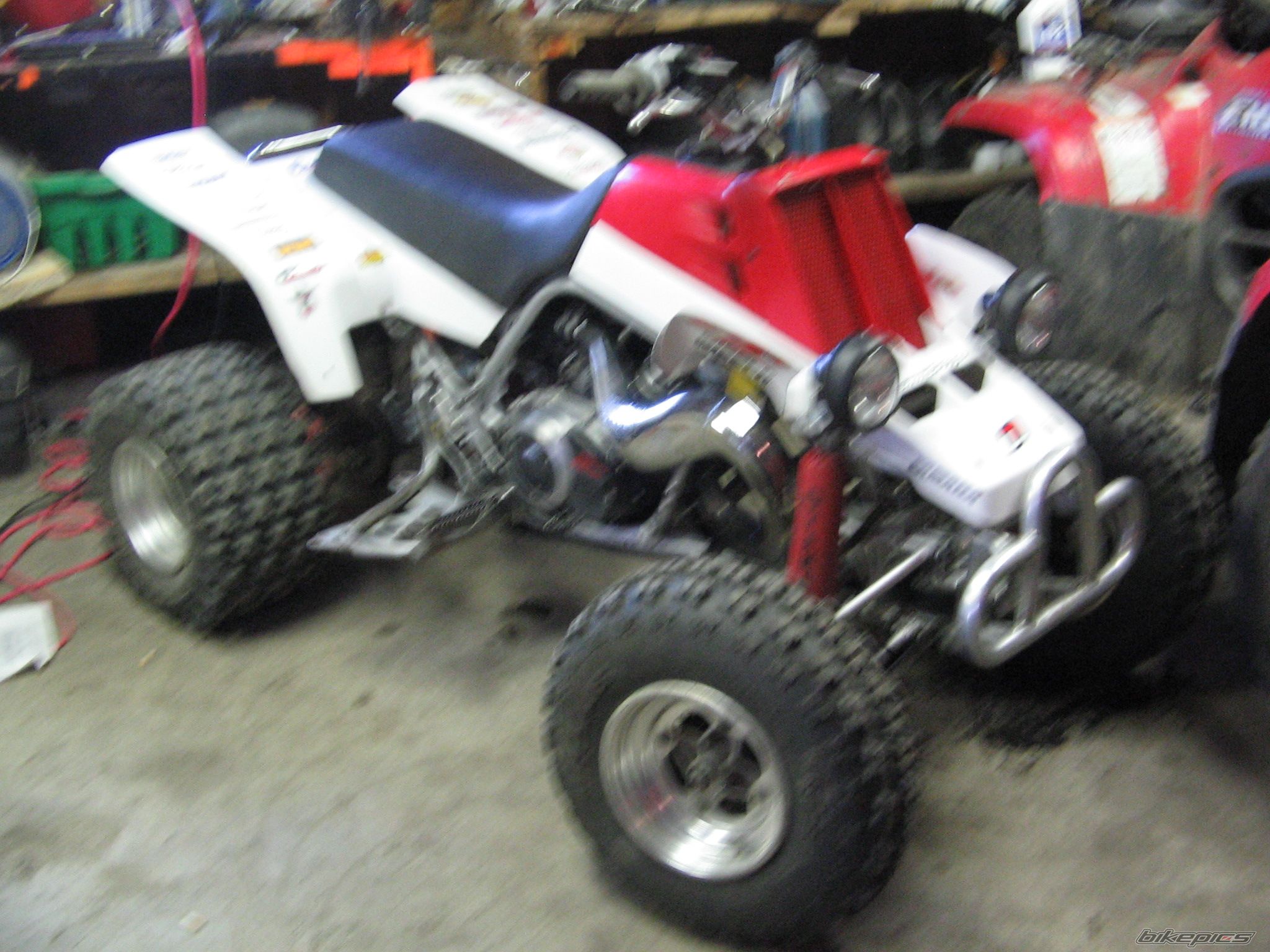 Photo 1106445