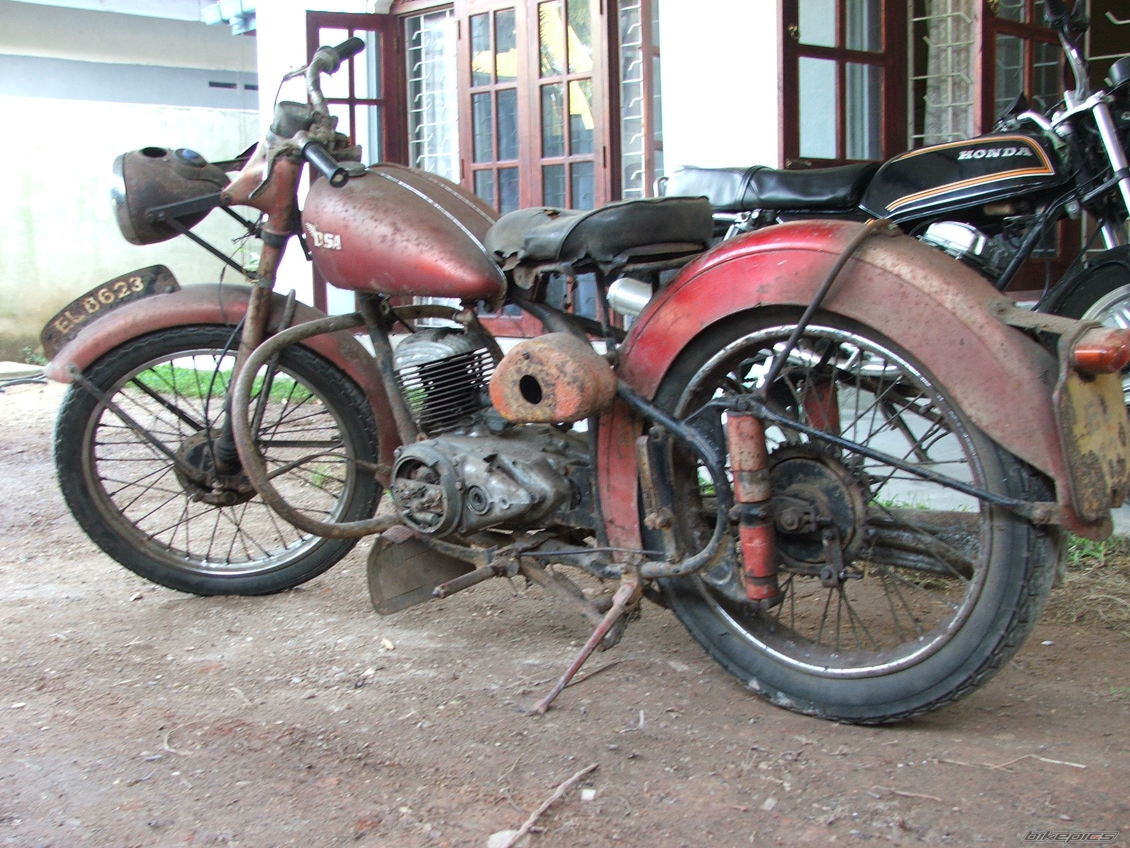 Photo 1106455