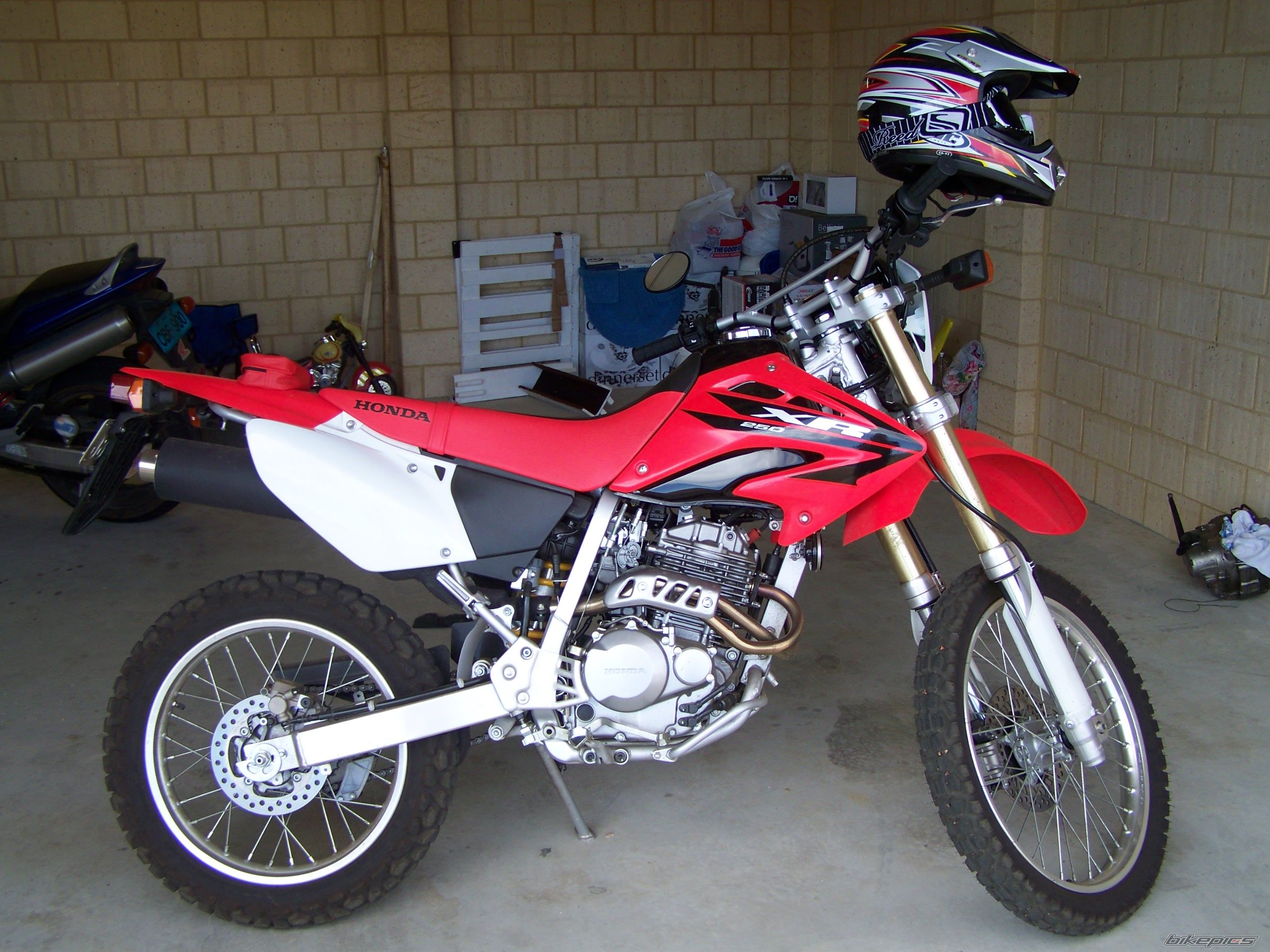 Photo 1106474