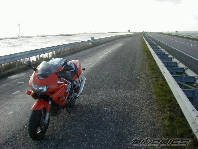 Photo 11065