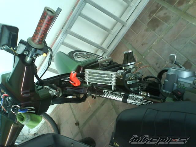 Photo 1106532