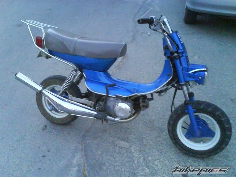 Photo 1106708