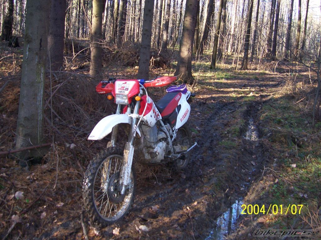 Bike Photo 1106726