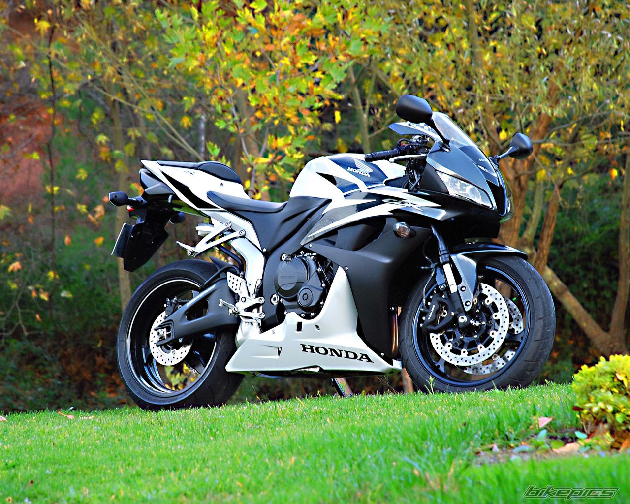 Bike Photo 1106727