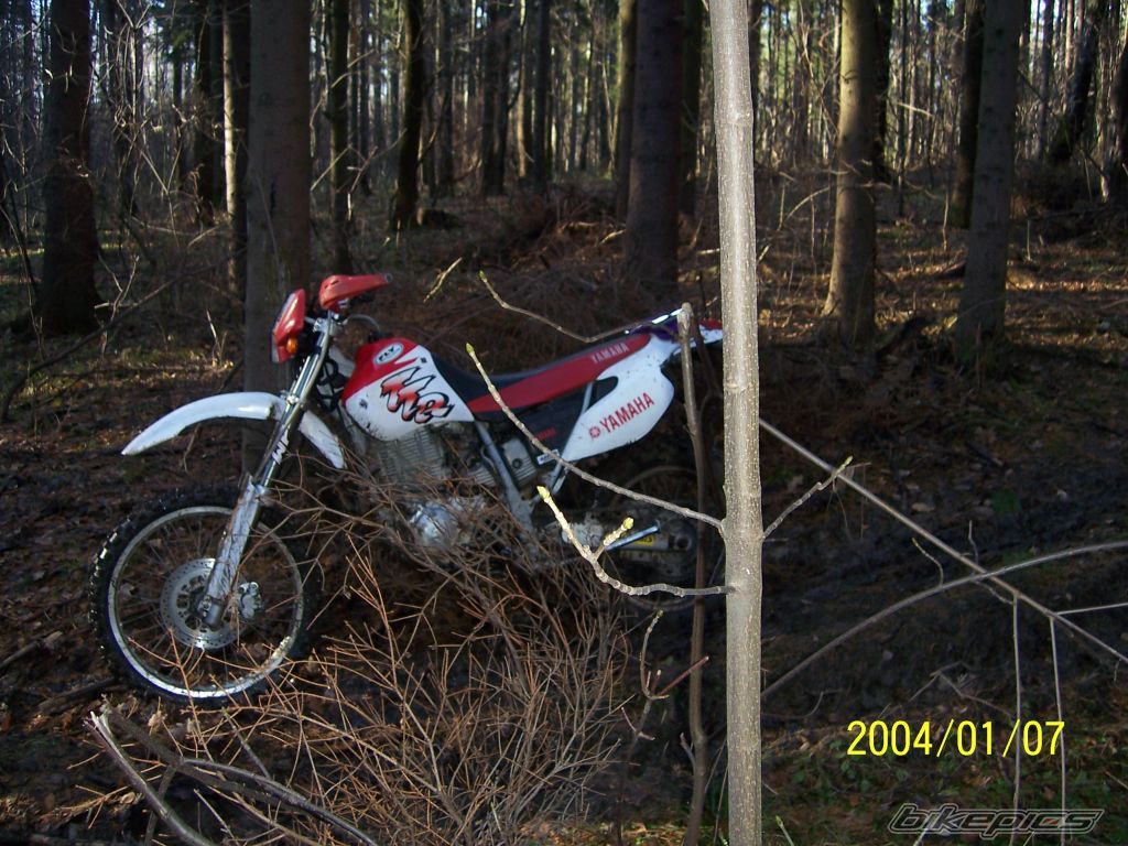 Photo 1106729