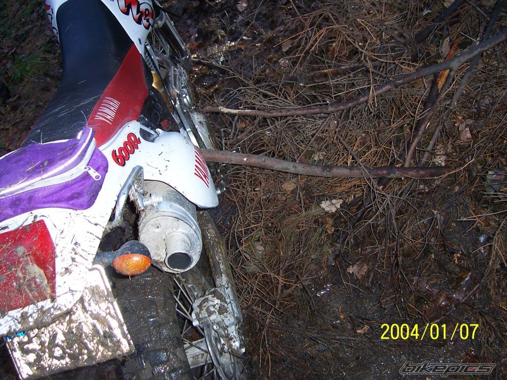Photo 1106735