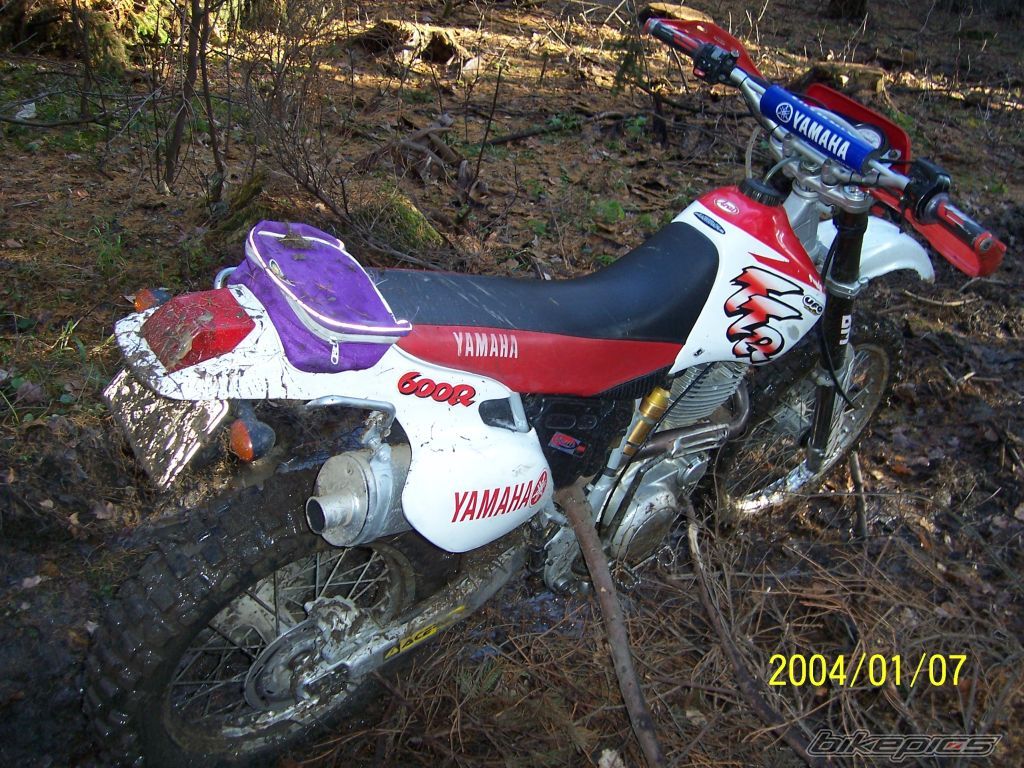 Photo 1106738