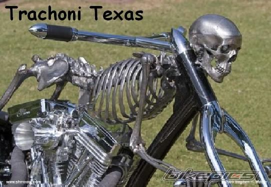 Bike Photo 1106761