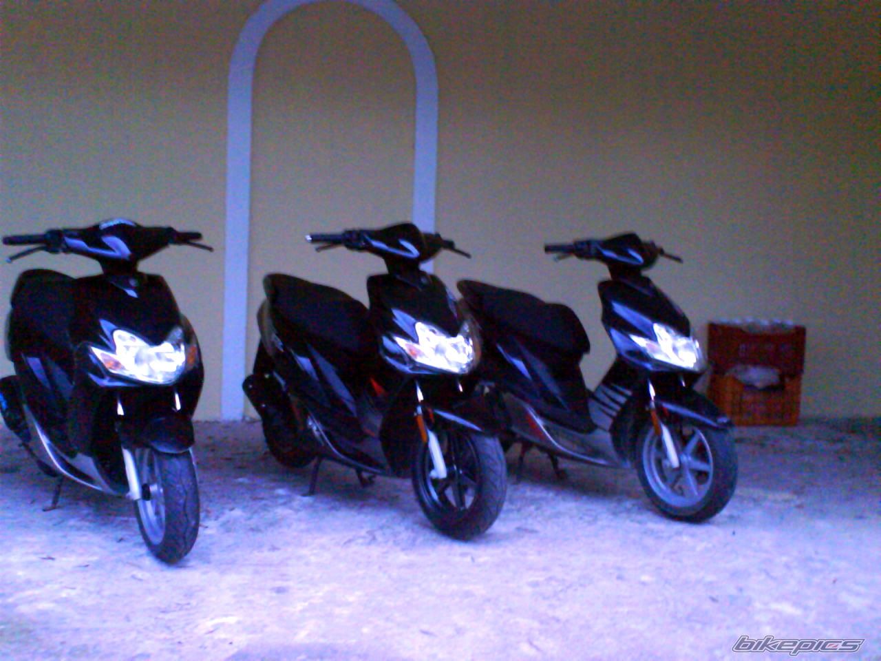 Photo 1106821
