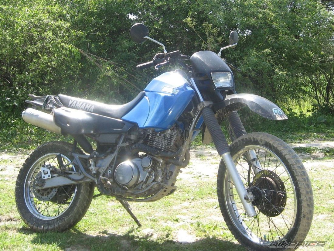 Photo 1106864