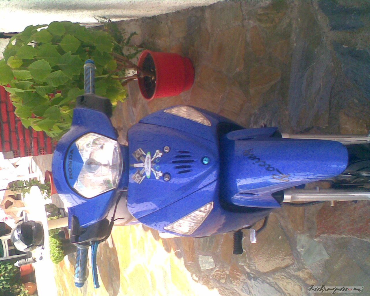 Photo 1106957