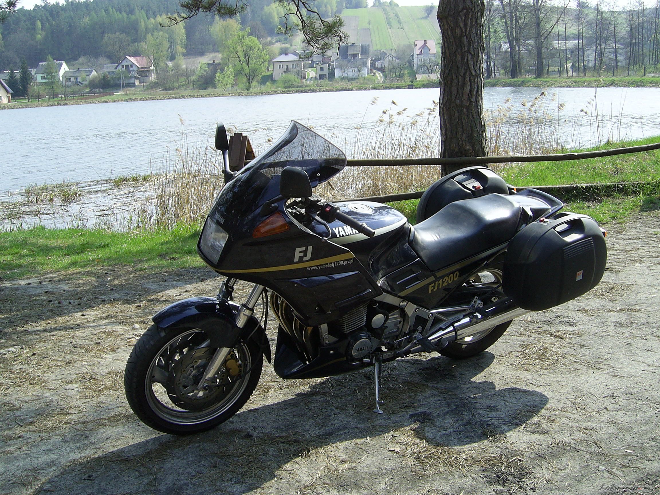 Photo 1107023