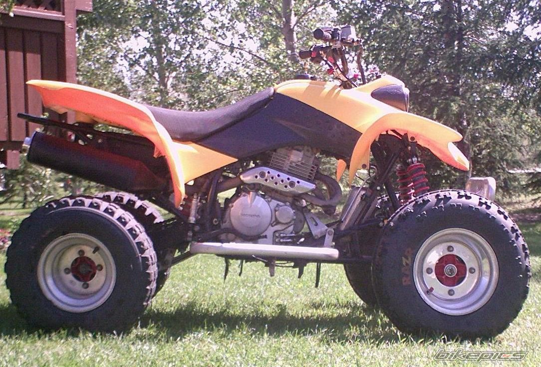 Photo 1107237