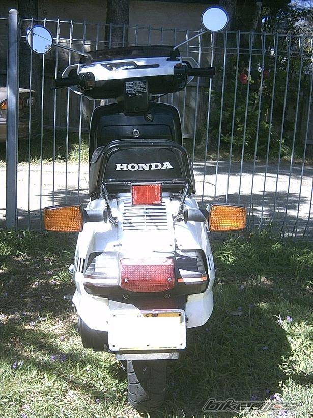 Photo 110732