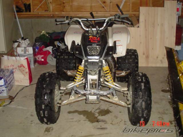 Photo 110745