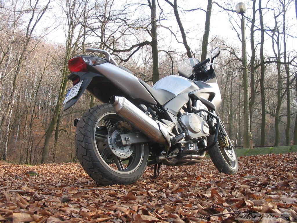 Photo 1107664