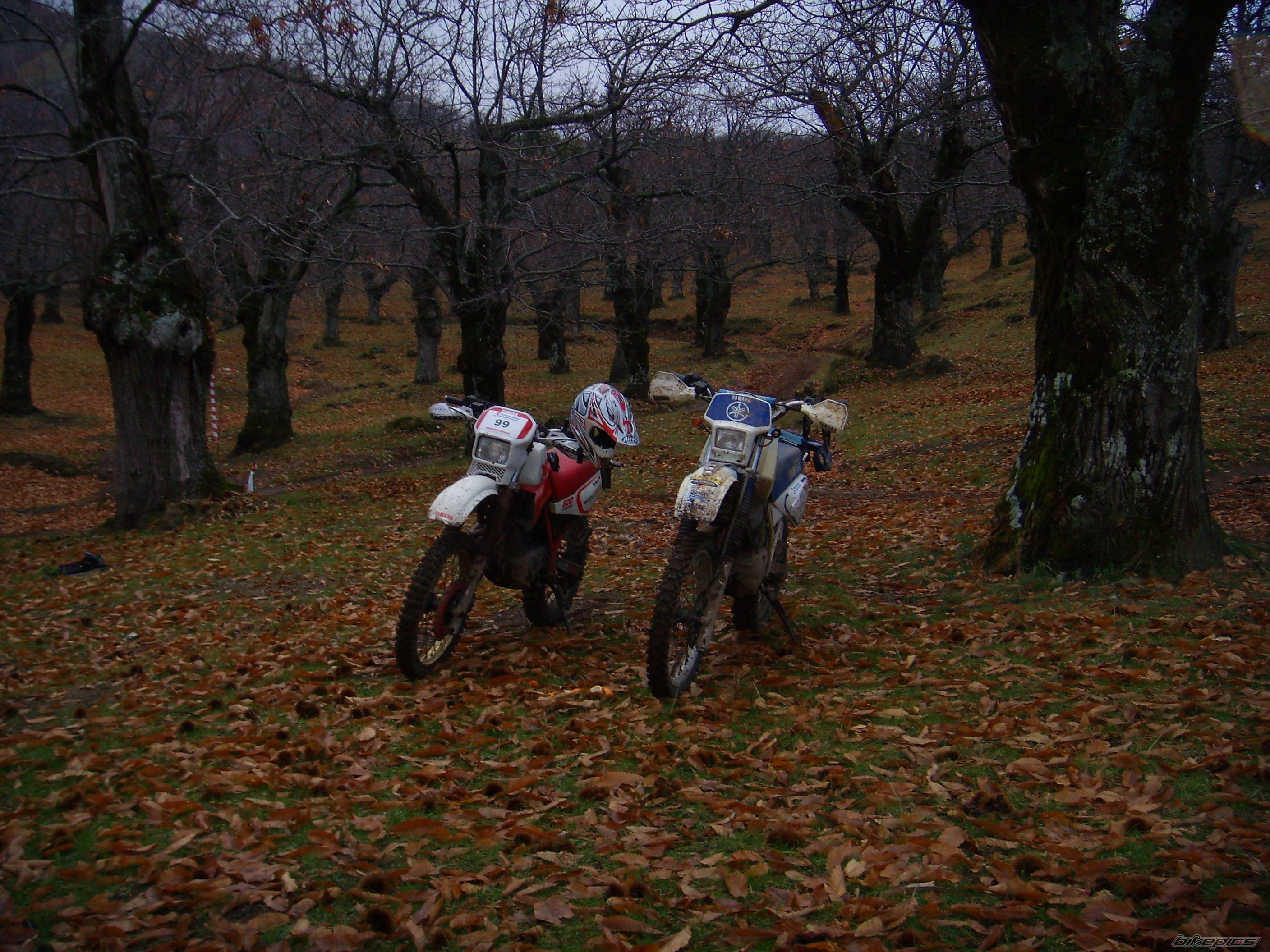 Photo 1107971