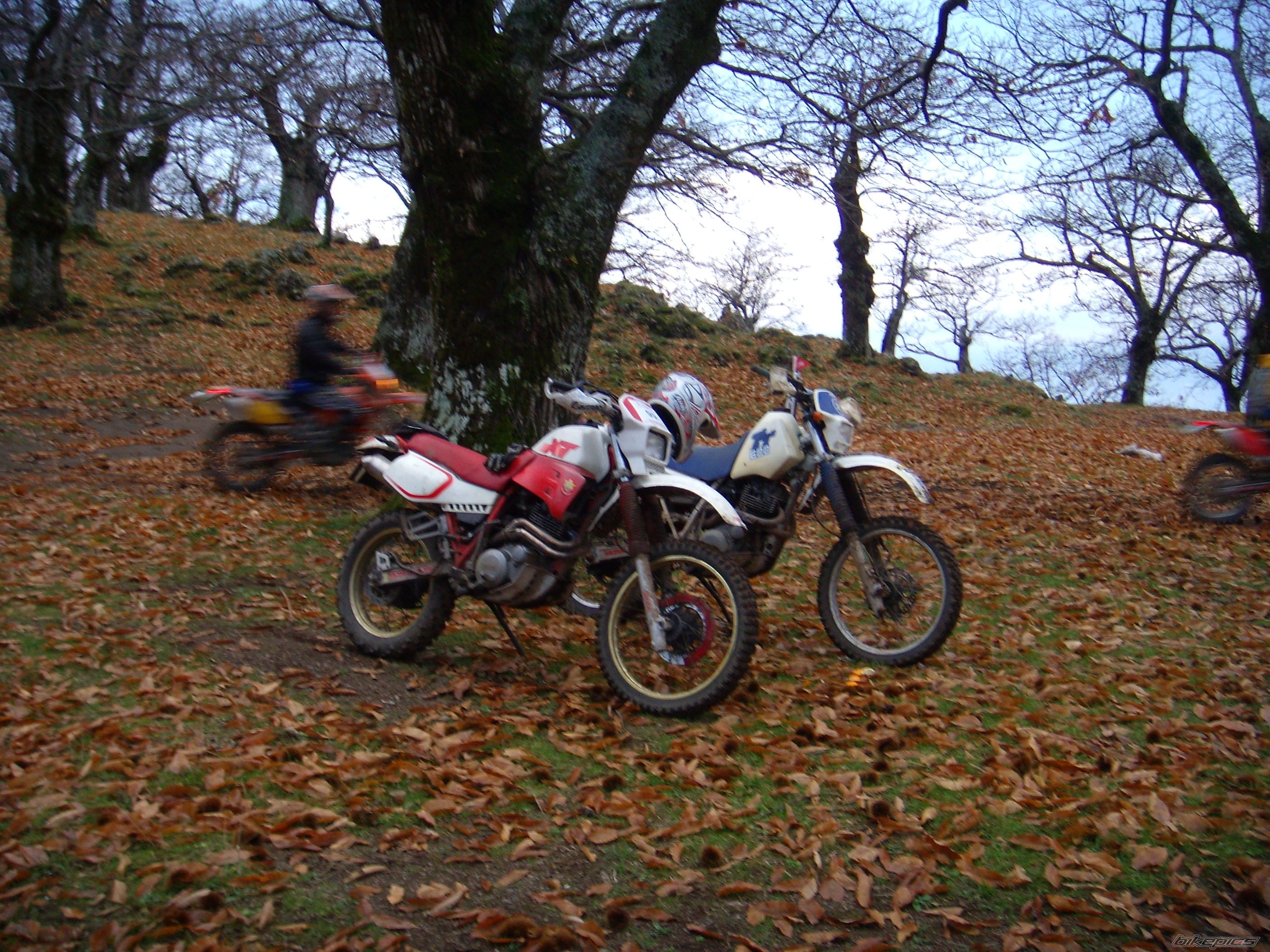 Photo 1107978