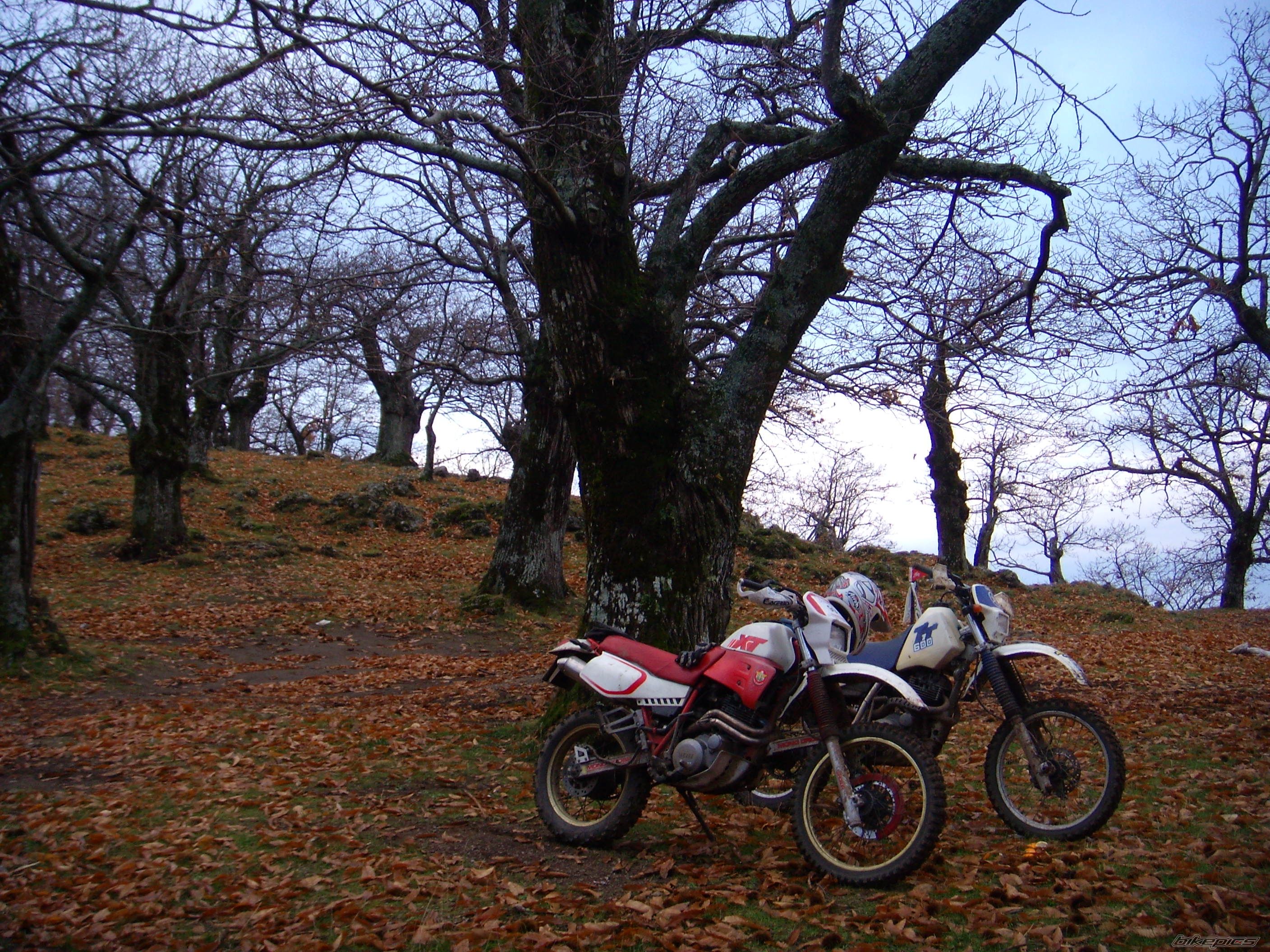 Photo 1107980