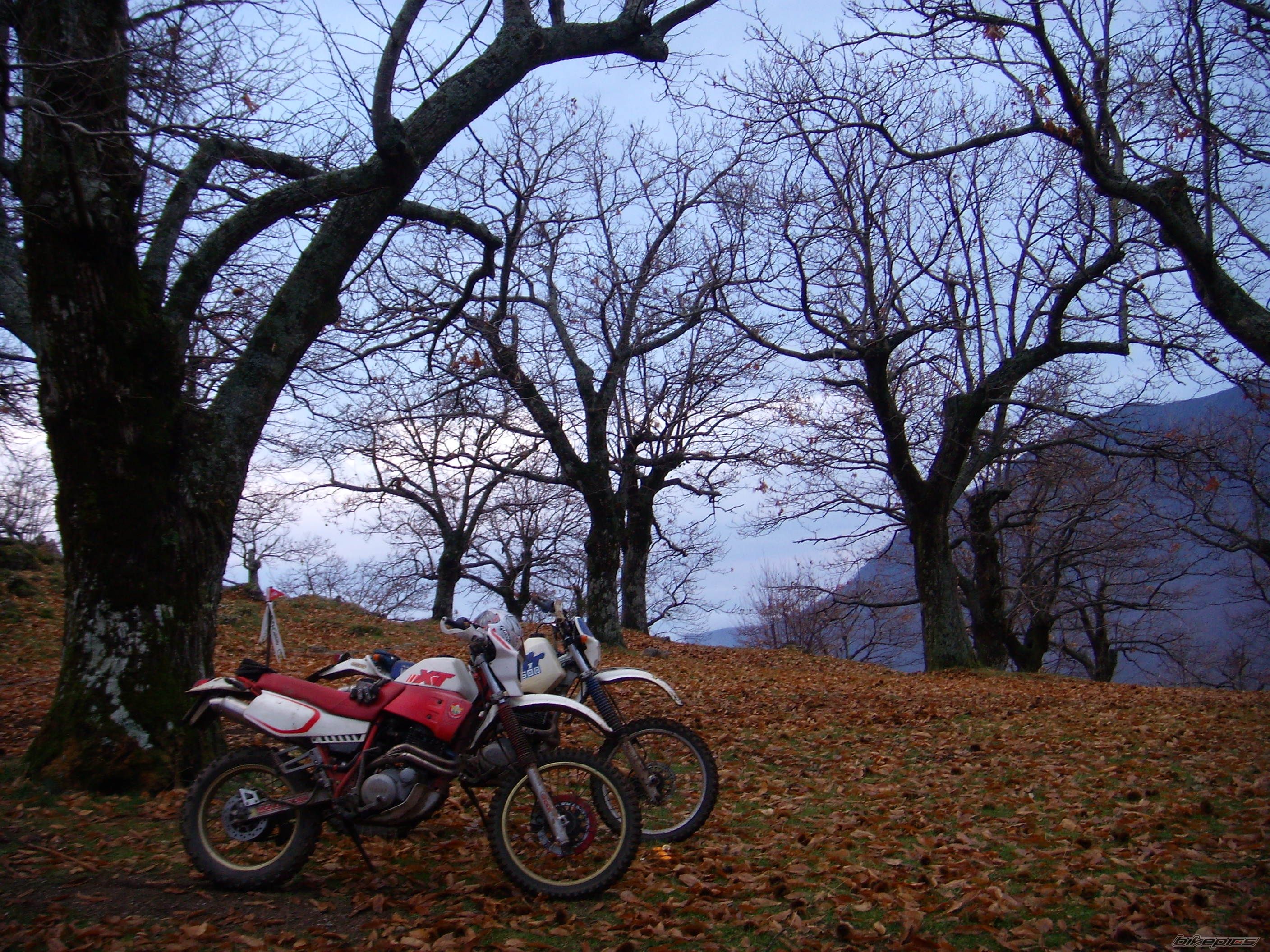 Photo 1107985