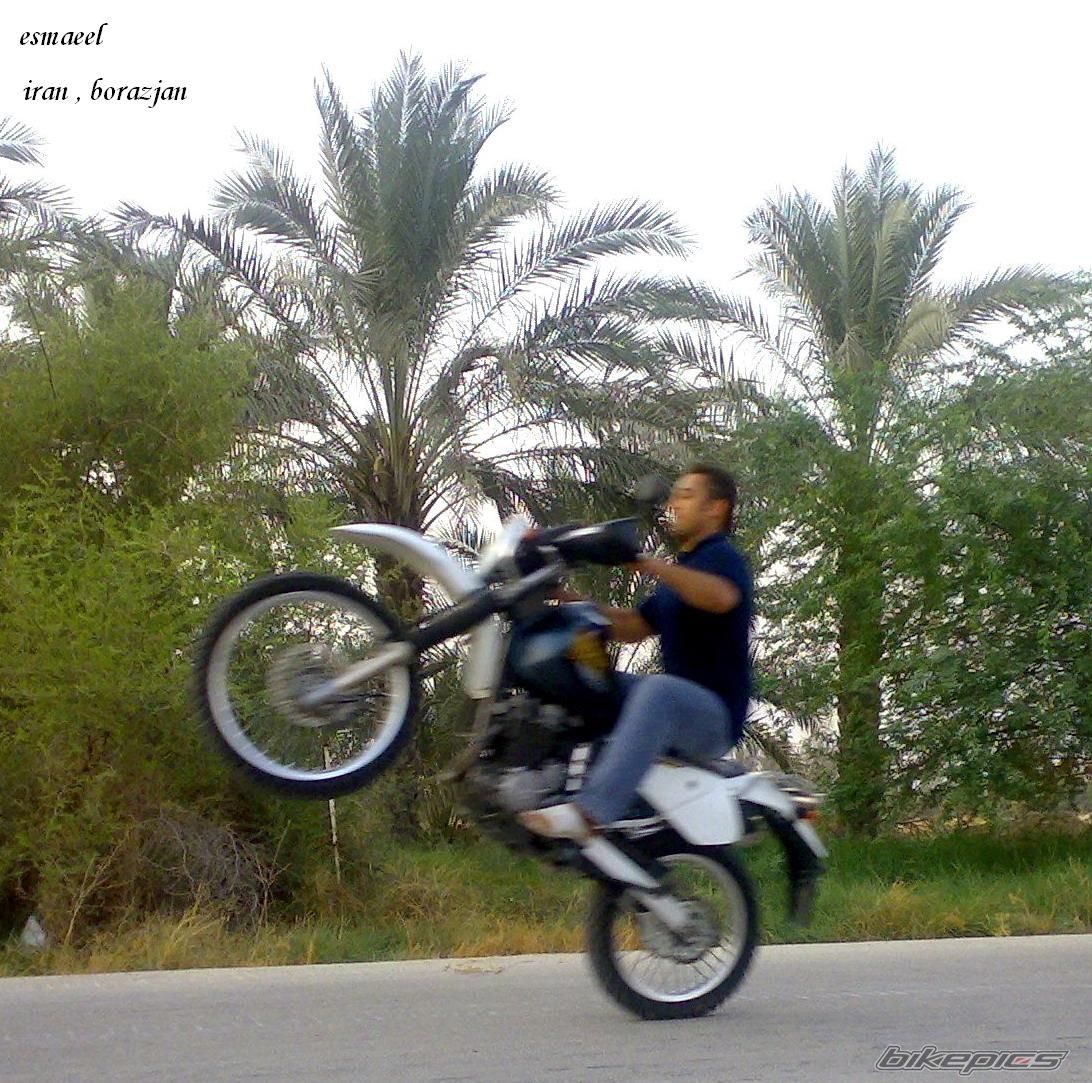 Photo 1108025
