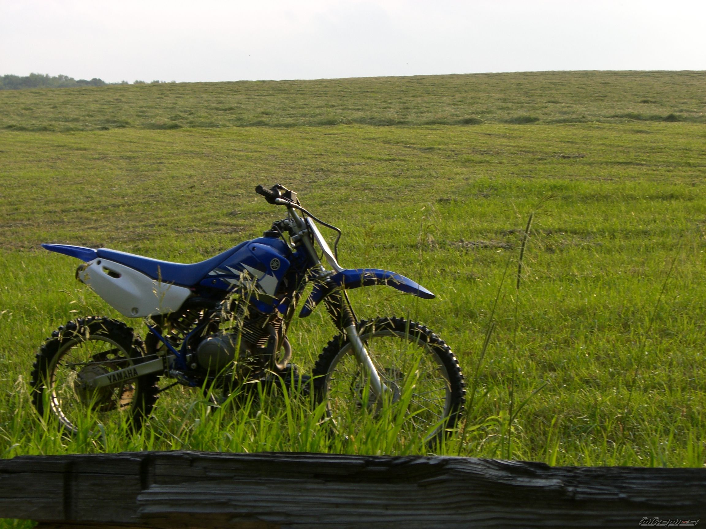 Photo 1108079