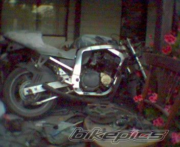 Photo 1108089