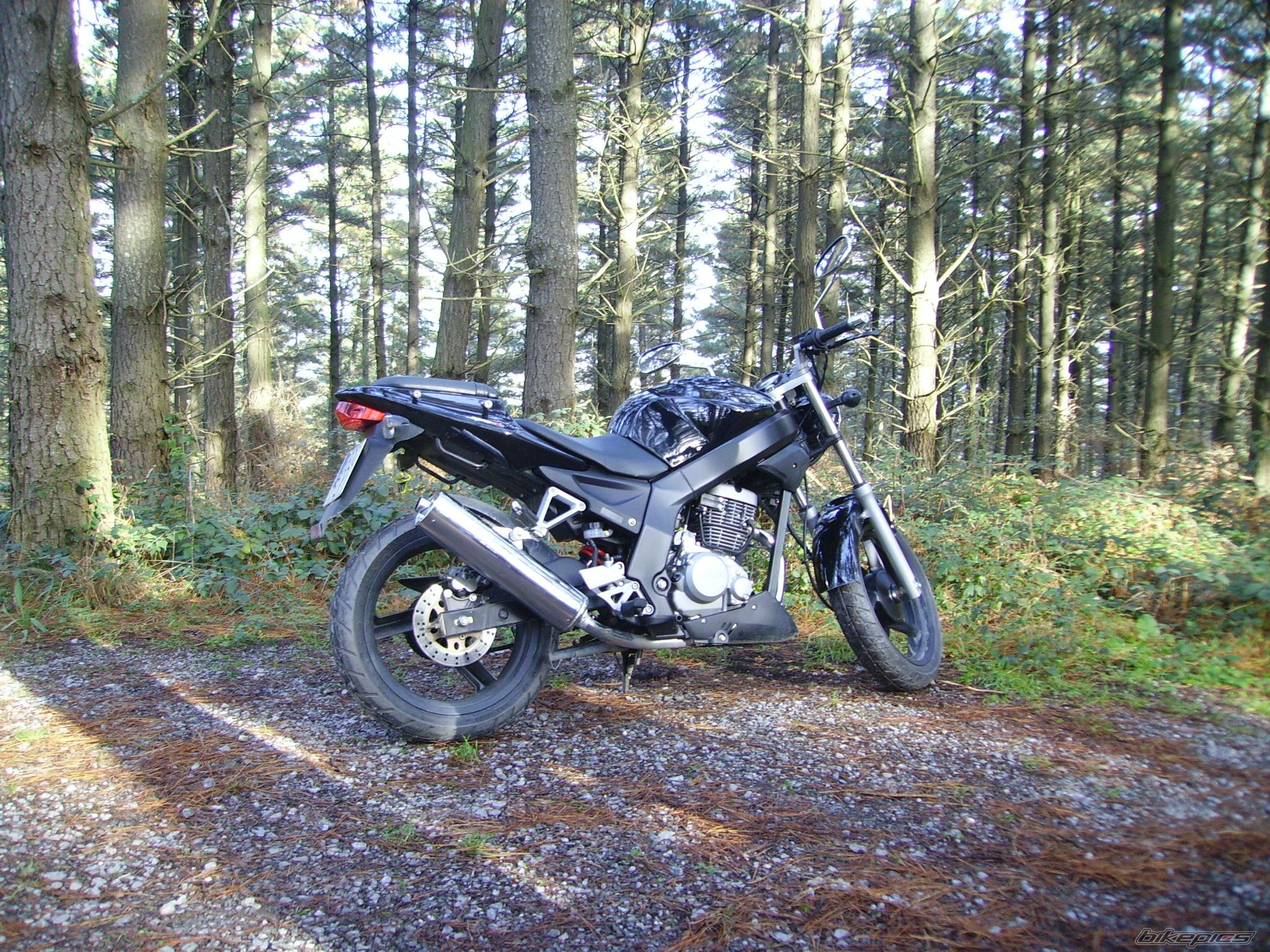 Photo 1108132