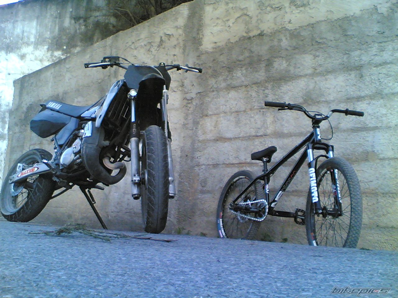 Bike Photo 1108260