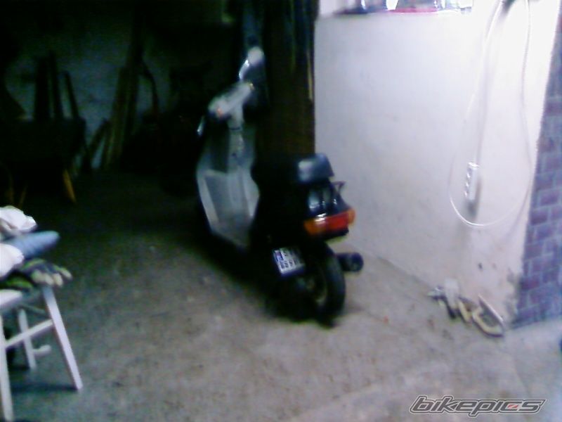 Photo 1108261
