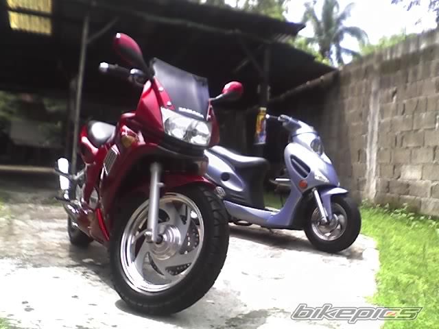 Photo 1108433