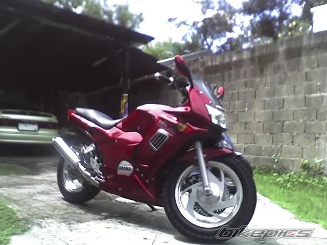 Photo 1108439
