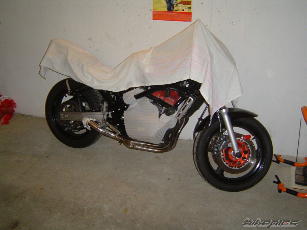 Photo 1108894