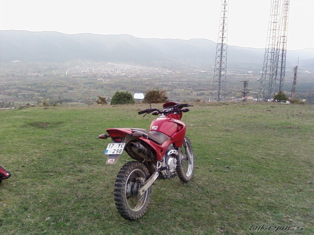 Photo 1108899